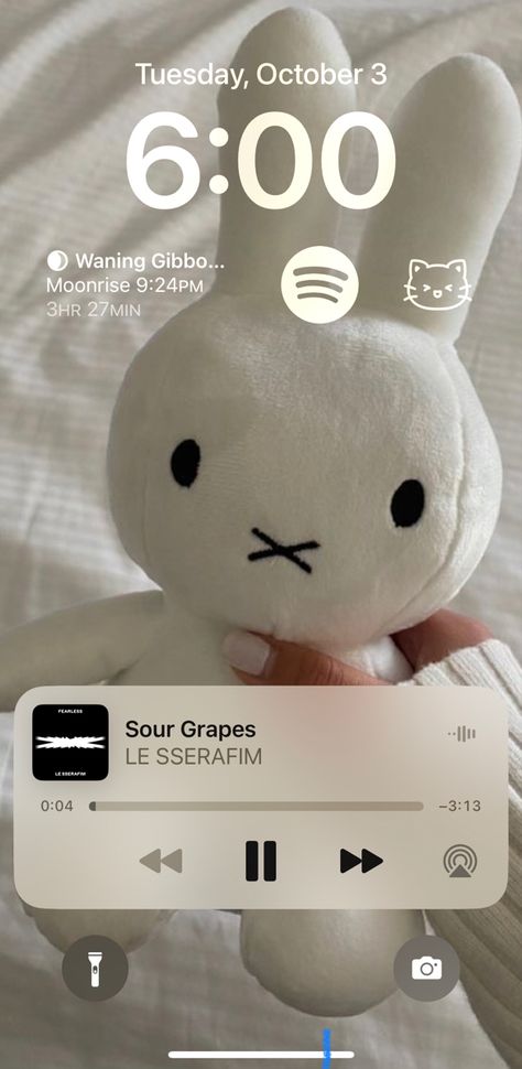 this is mine! please do not repost 💗 miffy cute kawaii miffy toy stuff plushie jellycat phone phone setup Kawaii, Polaroid Camera, Miffy Airpod Case, Miffy Phone Case, Miffy Cute, Phone Setup, Sour Grapes, Phone Ideas, Personal Aesthetic