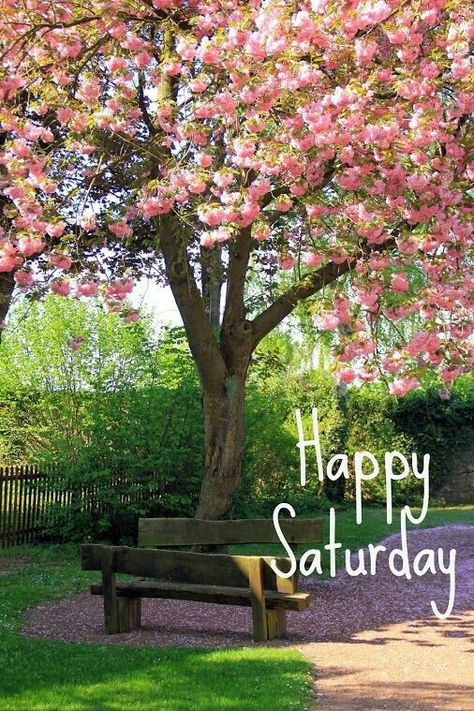 Saturday in spring Saturday Quotes Funny, Happy Saturday Pictures, Saturday Morning Quotes, Happy Saturday Quotes, Saturday Pictures, Saturday Humor, Saturday Greetings, French Coastal, Palm Tree Pictures