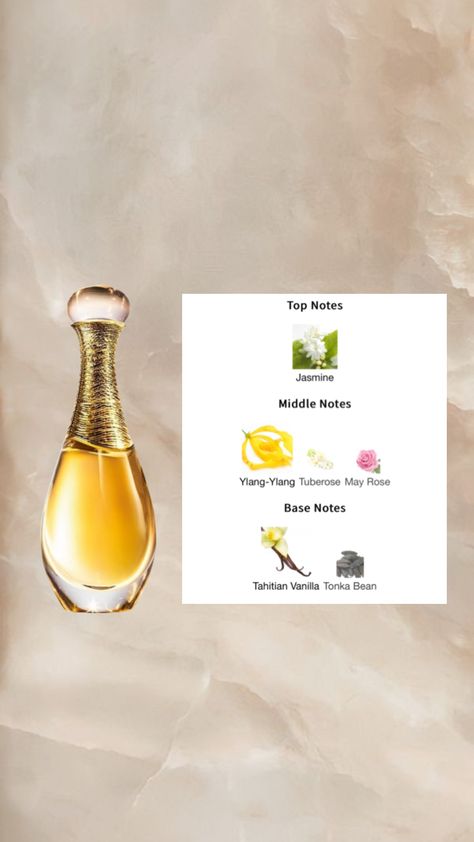 #perfume #fragrance #vanilla #vanillagirl #jadore #dior #diorlipoil #diorgirl #dioraesthetic #diormakeup Jadore Dior, Dior Jadore, Dior Aesthetic, Dior Girl, Dior Perfume, Dior Makeup, Perfume Fragrance, Perfume Scents, Lip Oil