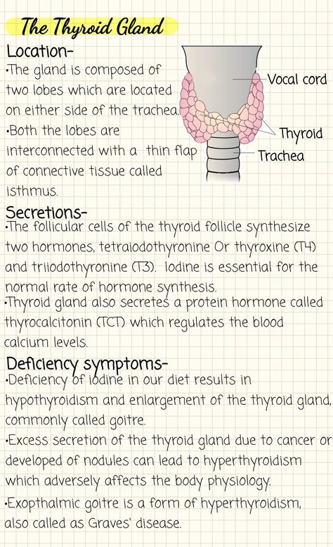 Life Science Grade 12 Notes, Bio 30 Notes, Chemical Coordination Notes, Micro Biology Notes, Brain Notes Aesthetic, Human Biology Notes, Neet Biology Notes, Cell Notes Biology, Metabolism Biology