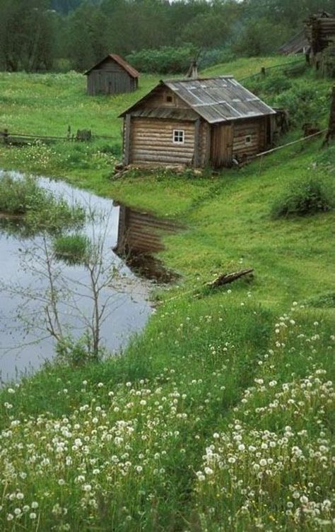 Cabin In The Valley Meadow Old Barns, Tiny House Blog, Living Simply, Cottage Cabin, Cabin Living, Cabins And Cottages, Cabin Life, House Landscape, Cabin Homes