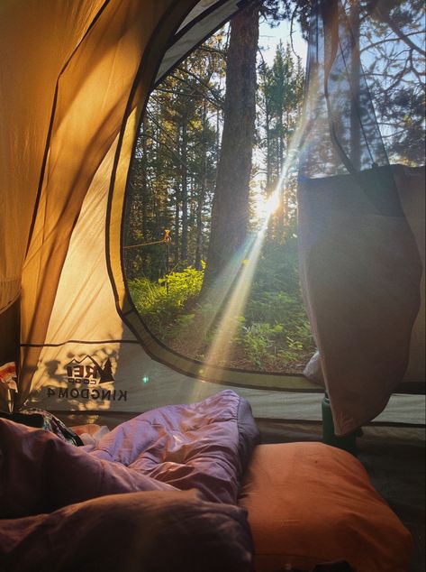 Camping In Woods, Cozy Tent Aesthetic, Vision Board Outdoors, Connecting With Nature Aesthetic, Solo Camping Aesthetic, Tent Aesthetic, Outdoors Aesthetic, Aesthetic Camping, Future Me