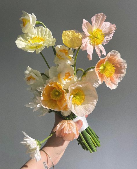 A little poppy/sunlight action from @flwrandwater that we couldn't resist 🏵️☀️ Happy Friday! #thefloristquarter #flwrandwater #newcastleflorist #newcastleflowers #australianflorists #freelanceflorists #australianfloristdirectory #forflowerlovers #flowercommunity #floristcommunity #communityovercompetition Icelandic Poppy Bouquet, Wedding Bouquet Poppies, Pink Poppy Bouquet, White Whimsical Bouquet, Flower Bouquet Reference, Loose Bridal Bouquet, Wedding Small Bouquets, Simple Ceremony Flowers, Cornflower Wedding Bouquet