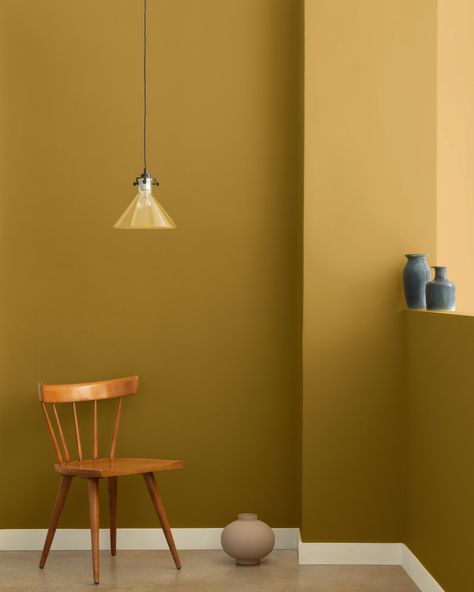 Mustard Olive 2151-10 | Benjamin Moore Mustard Yellow Paint Colors, Benjamin Moore Yellow, Ochre Paint, Mustard Yellow Paints, Gold Painted Walls, Mustard Yellow Walls, Mustard Walls, Yellow Paint Colors, Gold Tapestry