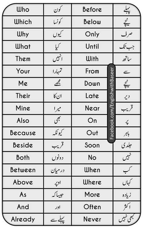 Basic English For Beginners, English To Urdu Vocabulary, Basic Vocabulary English, Urdu Vocabulary, Simple English Sentences, English To Urdu, Basic English Sentences, English Phrases Sentences, Phrases And Sentences