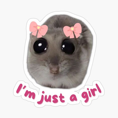 Get my art printed on awesome products. Support me at Redbubble #RBandME: https://www.redbubble.com/i/sticker/I-m-just-a-girl-sad-hamster-TikTok-meme-by-ARTmhmood/159259656.EJUG5?asc=u Funny Laptop Stickers, Hello Kitty Wallpaper Hd, Sticker Design Inspiration, Iphone Stickers, I'm Just A Girl, Otaku Funny, Meme Sticker, Pola Kartu, Cute Laptop Stickers