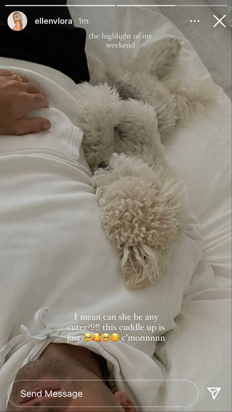 Fur Mom Aesthetic, Nature, New Puppy Instagram Story, Pet Captions, Dog Caption, Dog Captions For Insta, Dog Captions, Dog Snap, Pampered Dogs