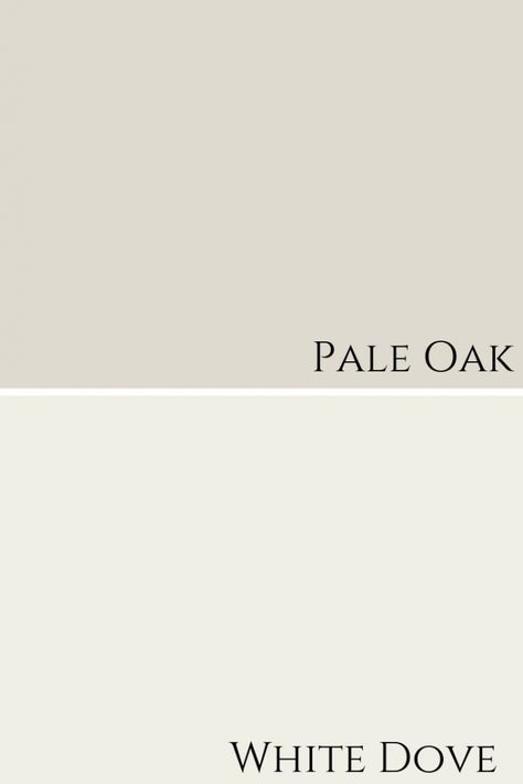 Pale Oak by Benjamin Moore Colour Review - Claire Jefford Pale Oak Paint Color, Pale Oak Paint, Pale Oak Benjamin Moore, Pale Oak, Paint Colors Benjamin Moore, Benjamin Moore Colors, Benjamin Moore Paint, Paint Colour, Favorite Paint