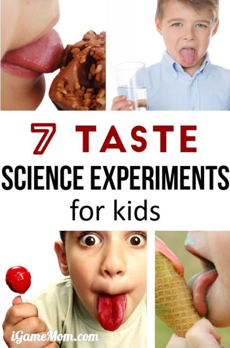 Fun science experiments for kids to learn about sense of taste, why can we taste different flavors? Does nose play a role in taste? Wonderful resource for 5-senses study with STEM activities for kids of all ages, from preschool, kindergarten, to school age. Fun Stem Activities, School Age Activities, Experiments Kids, Senses Activities, Science Experiments For Kids, Experiments For Kids, Kid Experiments, Science Fun, Science Projects For Kids