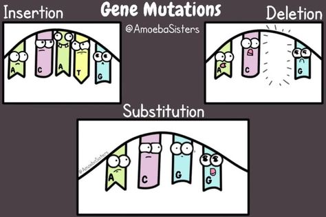 The Amoeba Sisters on Instagram: “Yesterday we shared some #chromosome #mutations - today learn all about gene mutations! https://buff.ly/2QREKOt⠀ .⠀ .⠀ .⠀ #science #scicomm…” Logos, Biology, Instagram, Gene Mutation Biology, Amoeba Sisters, Gene Mutation, Gaming Logos, Science, ? Logo