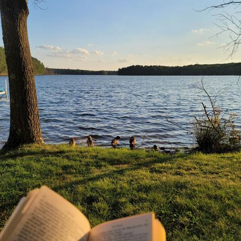 Little day of reading by the beach ft. duck friends #reading #cabin #lakeday #readingbythelake #lakereadings Bonito, Nature, Friends Reading, Life In Paradise, Cabin Aesthetic, Summer Cabin, Lakeside Cabin, Cowgirl Aesthetic, Lake Trip