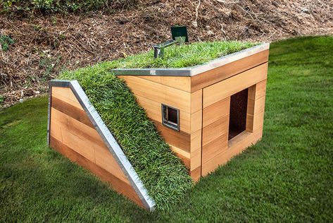 studio schicketanz's doggy dreamhouse designboom Green Roof House, Small Dog House, Modern Dog Houses, Build A Dog House, California Architecture, Wooden Dog House, Large Dog House, Outdoor Dog House, Dog House Plans