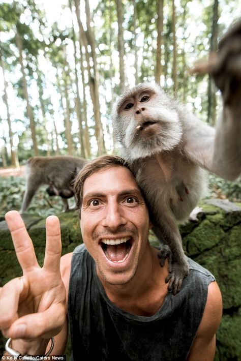 Man captures amazing monkey selfie in Bali's Sangeh Monkey Forest | Daily Mail Online Monkey Forest Bali, Animal Anime, Dog Portraits Art, Cheeky Monkey, Monkey Forest, Travel Picture Ideas, Anime Nails, Custom Cat Portrait, Pose For The Camera