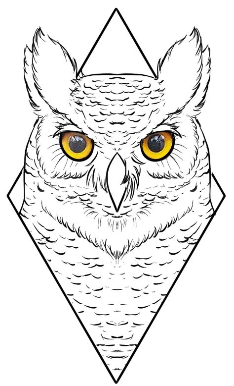 Croquis, Owl Tattoo Stencil, Owl Line Drawing, Owl Stencil, Owl Outline, Owl Tattoo Drawings, Watercolor Peacock, Cool Tattoo Drawings, Embroidery Tattoo