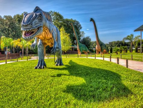 Rainbow Springs State Park, Florida Trips, Beach Road Trip, Dinosaur World, Dinosaur Park, Florida Adventures, Plant City, Florida Sunshine, Florida Trip