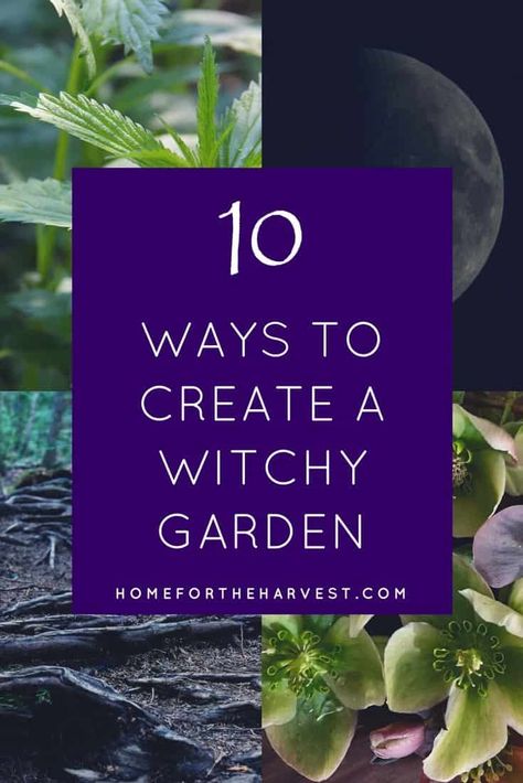 Oooh I can't wait to try this! These tips for a witch garden are actually super detailed. I'd love to have my own witch's garden! #witchgarden #witch #magic #plants Witch's Garden, Witchy Garden, Witch Herbs, Minimalist Garden, Witch Garden, Organic Vegetable Garden, Moon Garden, Outdoor Patio Lights, Have Inspiration