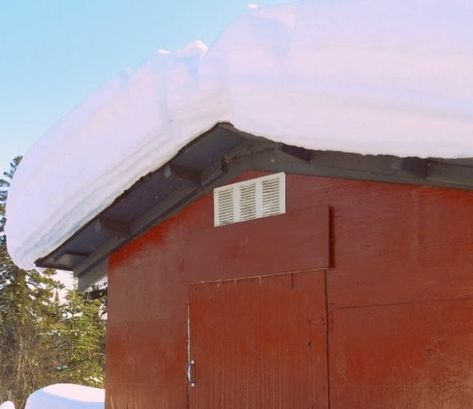 How-To Monday: Successfully Ventilate the Cold Climate Chicken Coop Chicken Coop Ventilation, Coop Ventilation, Alaskan Dog, Chickens In The Winter, Chicken Shed, Chicken Keeping, Clean House Schedule, Hobby Farm, Weather And Climate