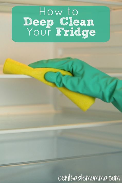 Organisation, Clean Refrigerator, Homemade Toilet Cleaner, Clean Baking Pans, Cleaning Painted Walls, Start Cleaning, Glass Cooktop, Deep Cleaning Tips, Clean Dishwasher