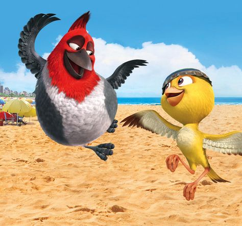 Nico Rio, Nigel Rio, Angry Bird Pictures, Rio Wallpaper, Wallpaper Film, Rio Movie, Movie In The Park, George Lopez, Blue Sky Studios