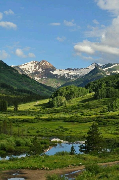Colorado USA Crested Butte Colorado, River Road, Pretty Landscapes, Crested Butte, Colorado Mountains, Alam Yang Indah, Beautiful Mountains, Nature Aesthetic, Pretty Places