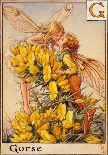 Fairy Drawings, Illustration Botanique, Fairy Illustration, Fairy Pictures, Fairy Artwork, Cicely Mary Barker, Fairy Tattoo, Vintage Fairies, Fairytale Illustration