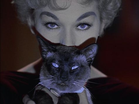 Kim Novak Greenwich Village, Bell Book And Candle, Book And Candle, Kim Novak, Behind Blue Eyes, A Black Cat, Book Candle, Cat People, Witchy Woman