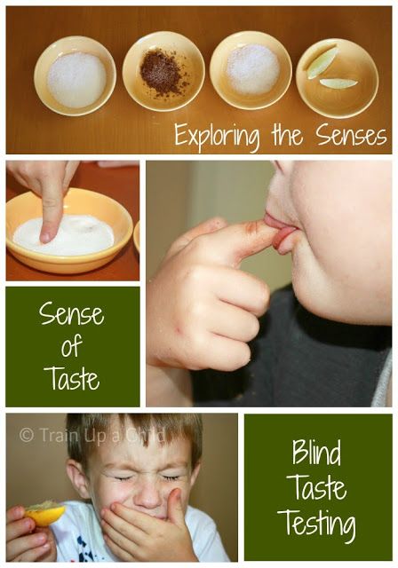 A simple game to explore the sense of taste - exploring sweet, bitter, salty and sour. My 5 Senses, 5 Senses Preschool, Ece Activities, Five Senses Preschool, Aktiviti Tadika, 5 Senses Activities, Fun Kids Activities, Senses Preschool, My Five Senses