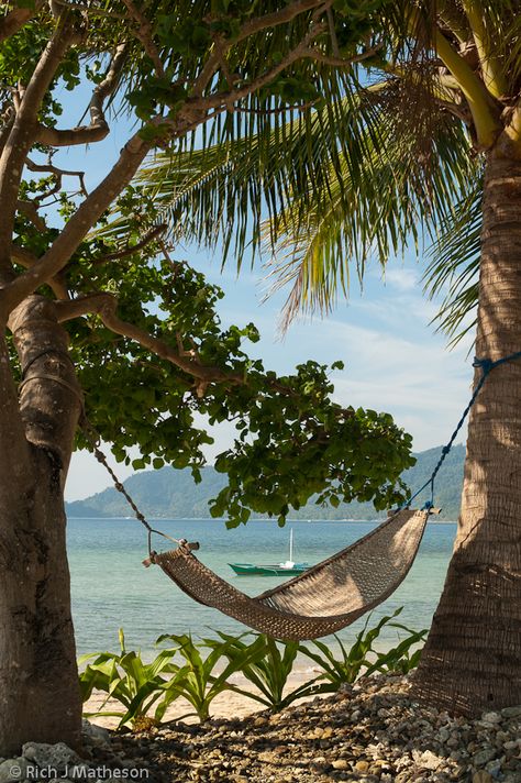 Beach With Hammock, Hammock By The Beach, Hammock On Beach Aesthetic, Hammock Beach Aesthetic, Hammock Aesthetic Beach, House On Beach Aesthetic, Beach Hammock Aesthetic, Beach Aesthetic House, Tropic Aesthetic