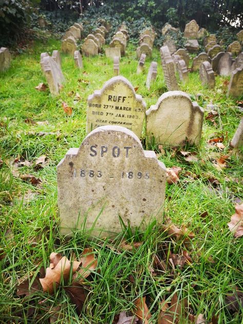 Did You Know About London's Hidden Pet Cemetery? | Londonist Pet Cemetery Movie, Pet Cemetery, Aesthetic Books, Royal Park, Books Aesthetic, The Tudor, Back Gardens, Loving Memory, Hyde Park