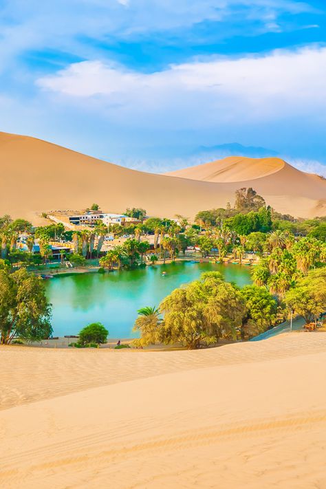 Huacachina Peru is a real oasis in the desert of Peru! This is one of the best day trips you can take from Lima Peru #Huacachina #lima #paracas #peru #travel #southamerica #desert #oasis Lima Peru Travel, Cajun Chicken And Rice, Huacachina Peru, Sand Boarding, Peru Travel Guide, Creamed Corn Recipes, Breakfast Casserole Easy, Breakfast Casserole Sausage, Desert Oasis