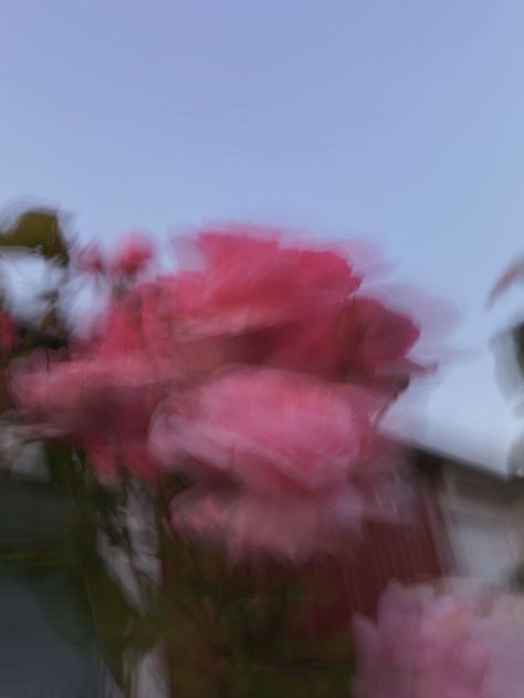 Tela, Blur Highlight Covers Instagram, Instagram Highlight Covers Blurry, Blurry Rose Aesthetic, Rose Blurry Aesthetic, Blurry Nature Aesthetic, Blurry Pink Aesthetic, Pink Blurry Aesthetic, Blurry Flower Aesthetic