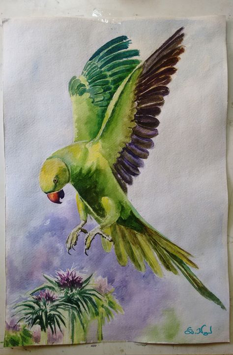 Green Parrot Watercolor, Beautiful Bird Painting, Indian Parrot Painting, Watercolor Drawing Animals, Nature Composition Painting, Animal Composition Painting, Bird Composition Paintings, Realistic Drawings Watercolor, Water Colour Bird Painting