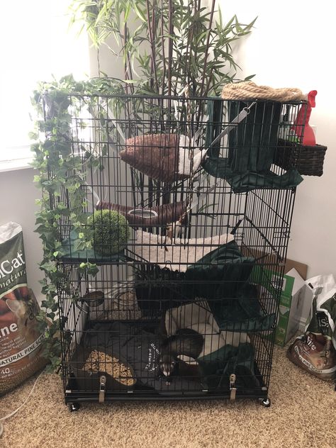 Cute Animal Enclosures, Cat Cage Aesthetic, Ferret Diy Cage, Ferret Setup Ideas, Cool Rat Cages, Pet Possum Cage, Ferret Aesthetic Cage, Ferret Cage Setup Ideas, Ferret Cage Aesthetic