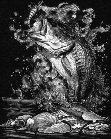 Largemouth Pic Bass Fishing Tattoo, Bass Fishing Pictures, Fishing Tattoo, Largemouth Bass Fishing, Scratchboard Art, Fish Artwork, Bass Fishing Tips, Fishing Pictures, Fish Wallpaper