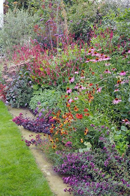 Fresco, Suburban Garden Design, California Cottage Garden, Garden Design Ideas Uk, Heather Gardens, Vertical Garden Plants, English Garden Design, American Garden, Herbaceous Border