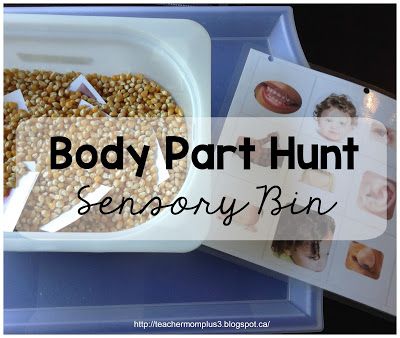 TeacherMomPlus3: Body Part Sensory Bin All About Me Activities For Toddlers, All About Me Eyfs, All About Me Topic, Body Parts Theme, Body Parts Preschool Activities, All About Me Preschool Theme, Me Preschool Theme, All About Me Crafts, Body Preschool