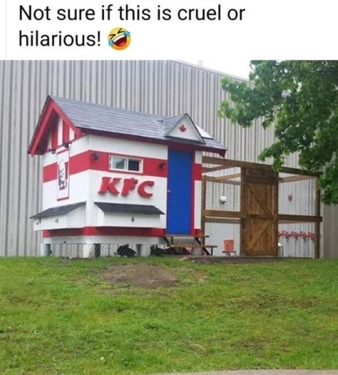 37 Funny Simple Memes & Pics Get You Through the Day - Funny Gallery Woodworking Images, Cheap Chicken Coops, Chicken Coop Signs, Backyard Chicken Farming, Kfc Chicken, Coop Design, Best Chicken Coop, Chicken Coop Designs, Coop Plans