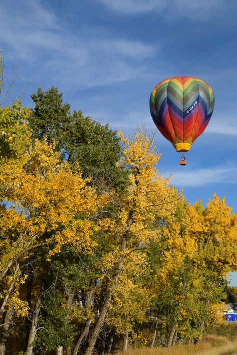 Every year, the Heritage Inn International Balloon Festival takes place in High River, Alberta, Canada. #Alberta #Canada #CanadaTravel #autumntravel #balloon #hotairballoon Canada Alberta, Balloon Festival, Hot Air Balloons, Fall Travel, Air Balloons, Alberta Canada, Canada Travel, How To Take, Hot Air Balloon