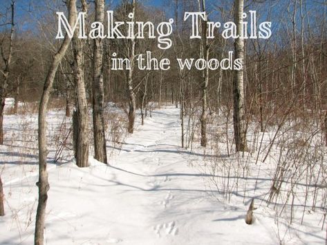 Creating Paths In Woods, Creating Trails In Woods, Diy Walking Trail, Walking Trails Design, How To Make Trails In The Woods, Wooded Property Ideas, Woodland Homestead, Lakehouse Backyard, Wood Pathway