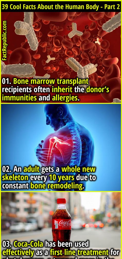 39 Cool Facts About the Human Body That’ll Just Blow Your Mind - Part 2 - Fact Republic Interesting Facts About Humans, Fun Facts Mind Blown, Facial Bones, Human Body Facts, Facts About Humans, Fact Republic, Cool Facts, Land Animals, Human Body Parts