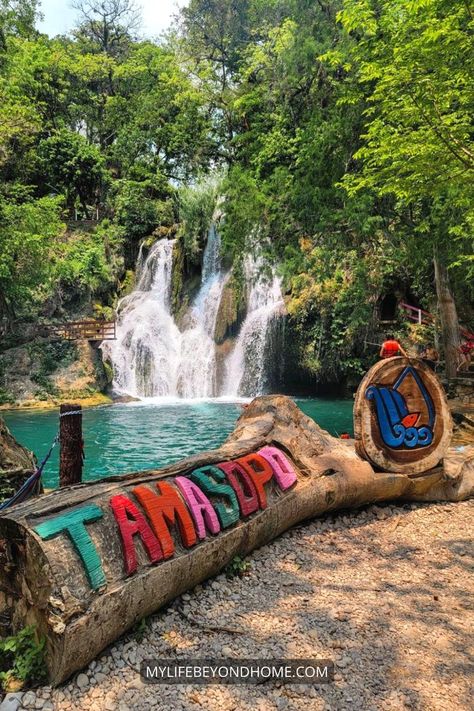 The most complete travel guide to Tamasopo Waterfalls in La Huasteca Potosina, Mexico Mexico Destinations, Mexico Waterfalls, Mexico Places To Visit, Mexico Beaches, Best Road Trips, Explore Mexico, Cliff Jumping, Mexico Culture, Natural Swimming Pools