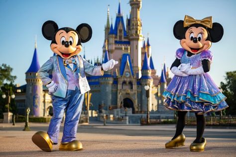 Disney Facts, Disney Parque, Disney 50th Anniversary, Cruise Trip, Disney Blog, 50th Anniversary Celebration, Mickey Y Minnie, Space Mountain, Family Rules