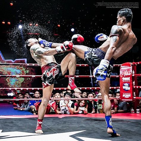 Boxe Thai Mma Aesthetics, Crazy Face, Vintage Boxer, Boxe Thai, Thai Boxing, Combat Sport, The Guard, Body Reference Poses, Human Poses Reference
