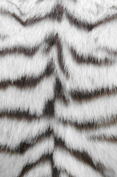 Tiger skin Nature, White Bengal Tiger, Tiger Fur, Vector Nature, Tiger Skin, Bengal Tiger, White Tiger, Lovey Dovey, Stock Photography Free