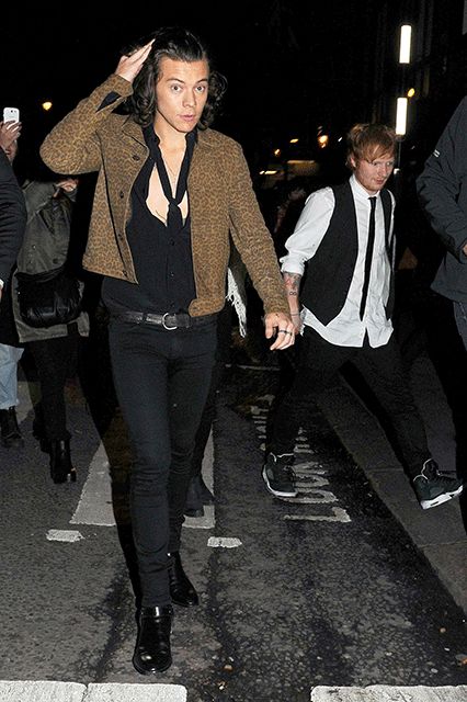 Ed Sheeran says Harry Styles has a big... (yes, we're going there) Iconic Harry Styles Outfits, Harry Styles Outfit, Harry Styles Hot, Harry Styles Wallpaper, Rock Chic, Mr Style, Money Bag, Harry Edward Styles, Edward Styles