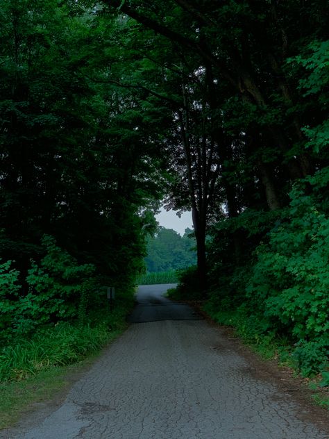 #michigan #twilight #rain #rainyday #rainaesthetic #twilighaesthetic #forest #aesthetic Nature, Michigan Aesthetic, Michigan Forest, Forest Aesthetic, Gloomy Day, + Core + Aesthetic, Nature Aesthetic, Pics Art, Rainy Days