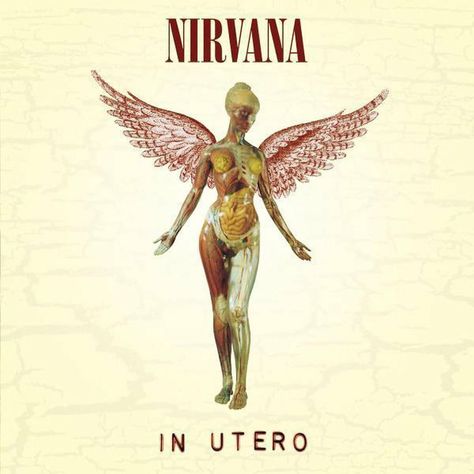 Nirvana Album Cover, Rock Album Cover, Nirvana Album, Grafika Vintage, Rock Album Covers, Krist Novoselić, Photo Polaroid, Cool Album Covers, Elvis Costello