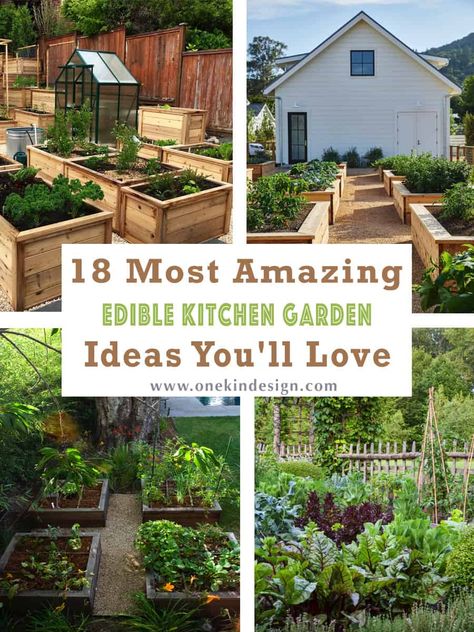 18 Of The Most Amazing Edible Kitchen Garden Ideas You'll Love7 Kitchen Garden Ideas, Backyard Raised Garden Beds, Backyard Raised Garden, Vegetable Garden Layout Design, Small Garden Layout, Fenced Vegetable Garden, Garden Bed Layout, Berry Garden, Raised Bed Garden Design