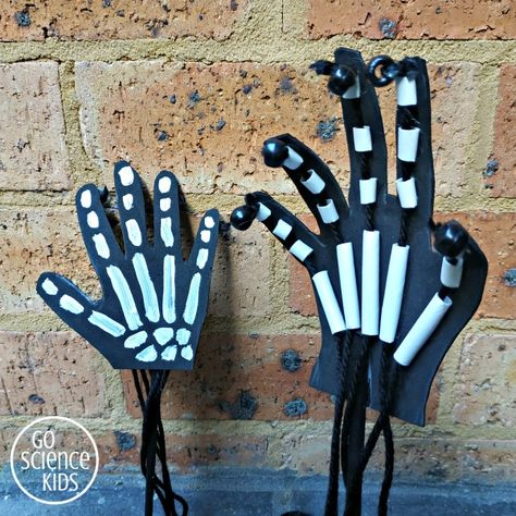 How to Make an Articulated Skeleton Hand – Lesson Plans Tela, Skeleton Puppet Craft, Dementor Costume, Skeleton Crafts, Articulated Hand, Articulated Skeleton, Skeleton Craft, Human Body Projects, Science Kids