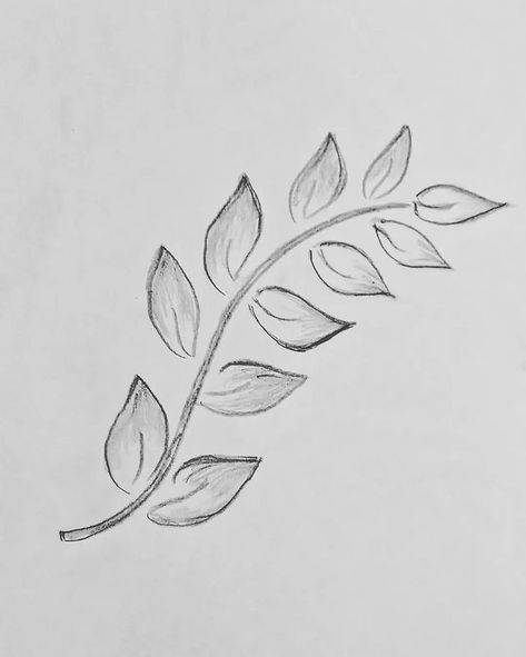 Easy art Drawing Pencil art Pencil Leaf Drawing, Leaf Drawing For Aari Work, Leaf Drawing Pencil, Aari Pencil Drawing, Leaf Pencil Drawing, Leaf Drawing Easy, Drawing Pencil Art, Art Drawing Pencil, Peacock Crafts